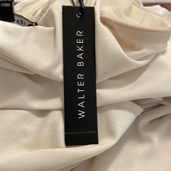 Walter Baker Ivory Dress Sheer Tulle Embroidered Lining NWT Straps Adjust Size M - Picture 8 of 10